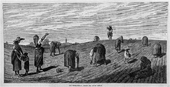 Las espiganderas, dibujo del señor Ortego