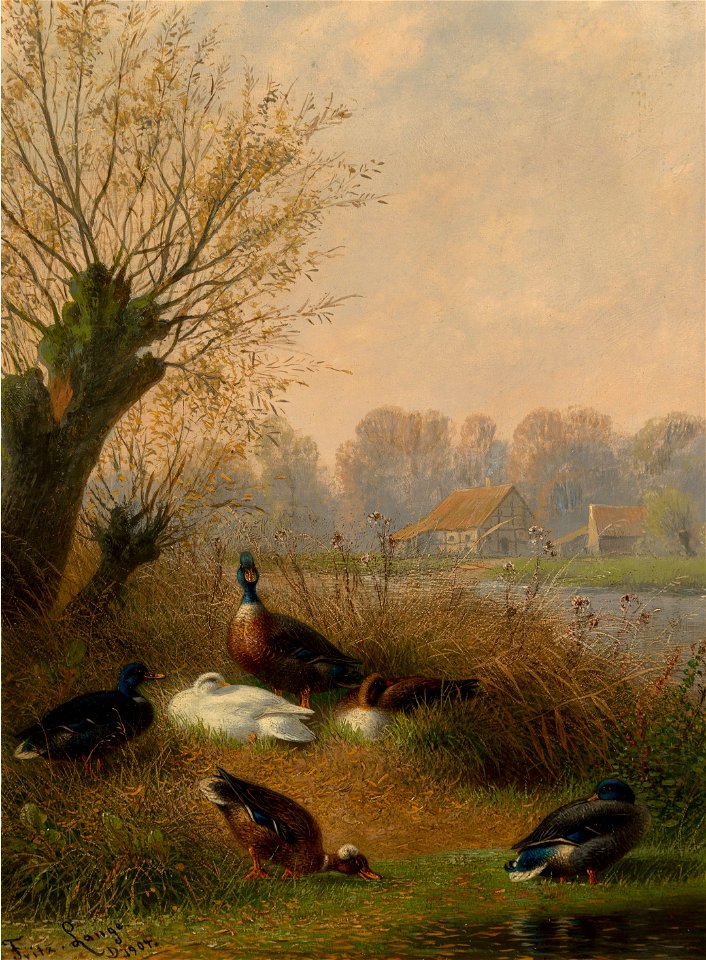 Nesting Ducks by Fritz Lange, 1904