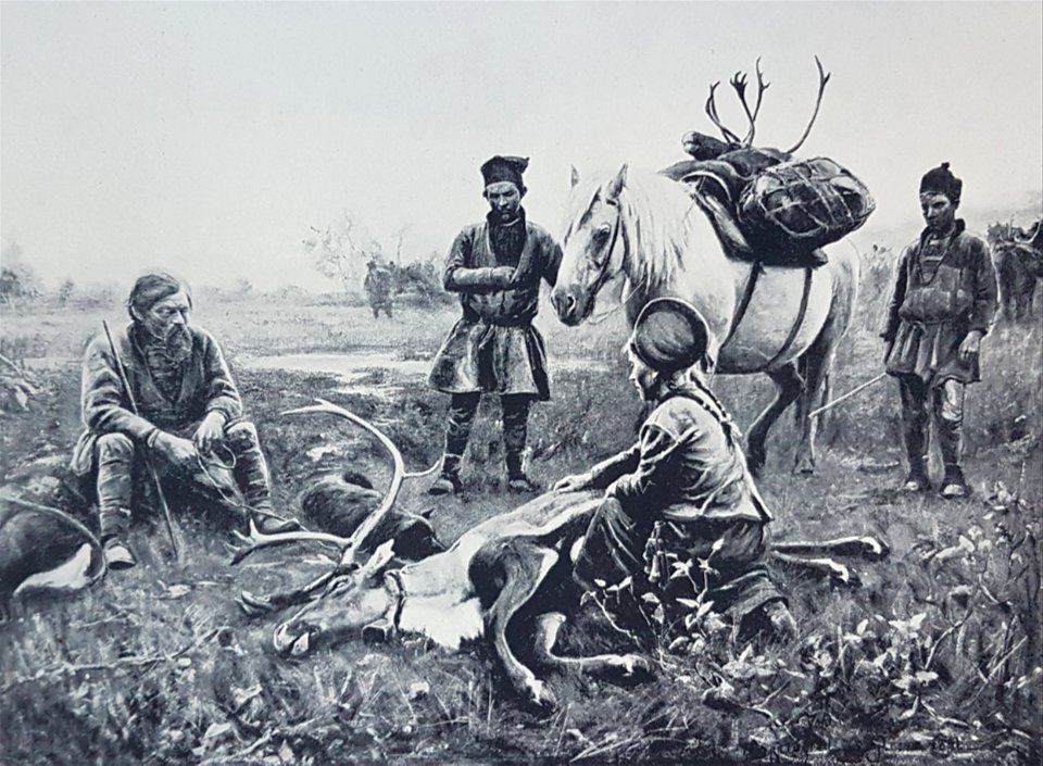 Lappar tillvaratar renar x Johan Tirén