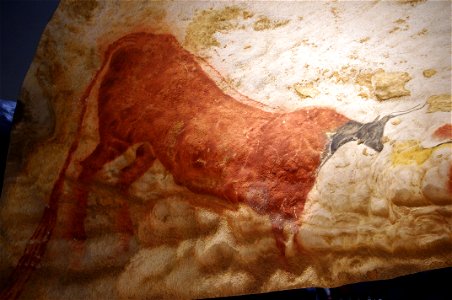 Lascaux-IV 14