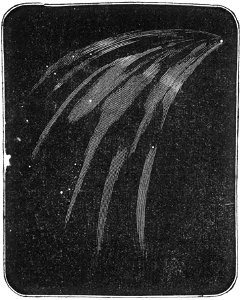 Las Maravillas Del Cielo pg 150