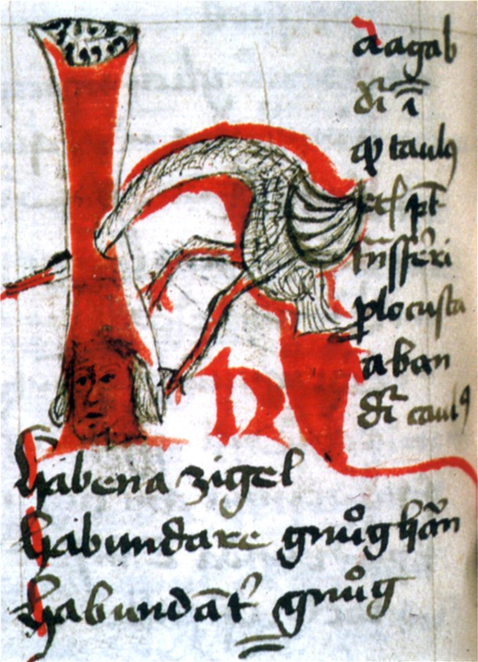 Lateinisches Vokabular 1454 img02 (Isny)
