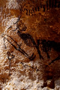 Lascaux-IV 17