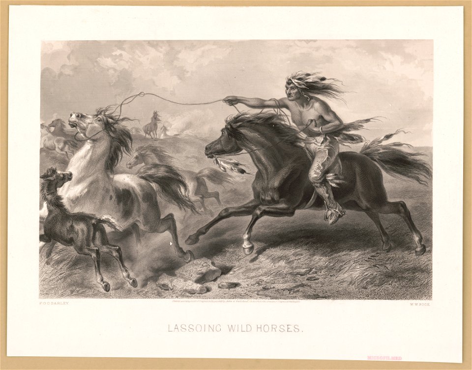 Lassoing wild horses LCCN2003679735