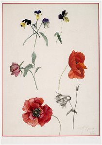 Lauer Blumen