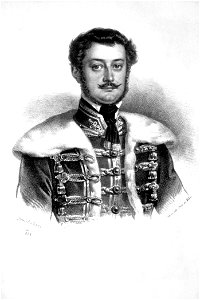 Lazar von Szarhegy Litho