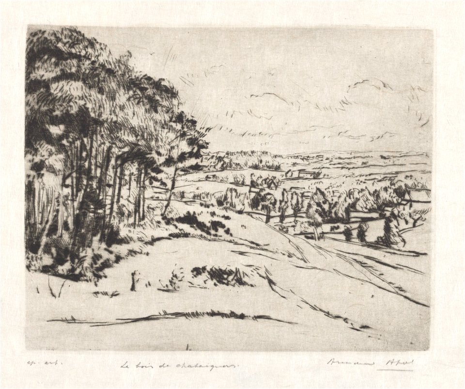 Le bois de châtaigners, print by Armand Apol (1879-1950), Belgium, (1914), Prints Department of the Royal Library of Belgium, S.IV 109468