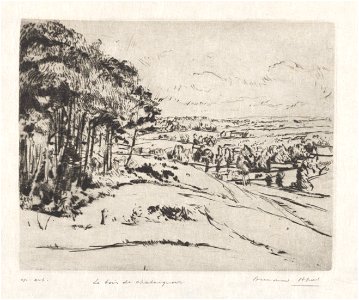 Le bois de châtaigners, print by Armand Apol (1879-1950), Belgium, (1914), Prints Department of the Royal Library of Belgium, S.IV 109468