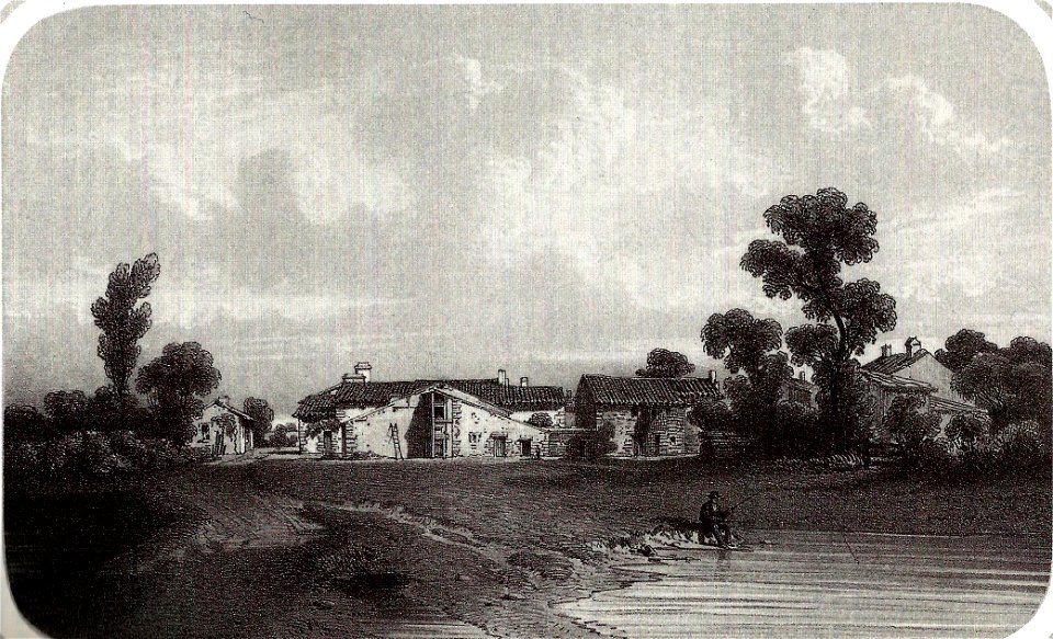 Le Chêne (Thomas Drake)