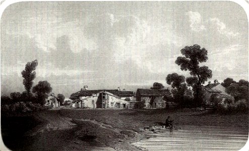 Le Chêne (Thomas Drake)