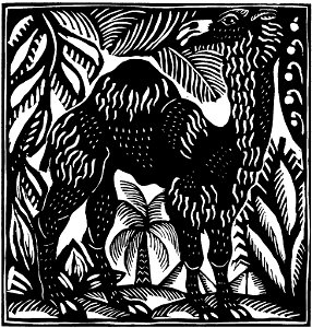 Le Dromadaire (Apollinaire - Le Bestiaire, ou Cortège d'Orphée)