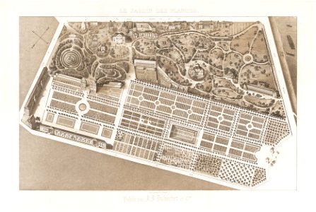 Le Jardin des Plantes 2 - Paul Legrand