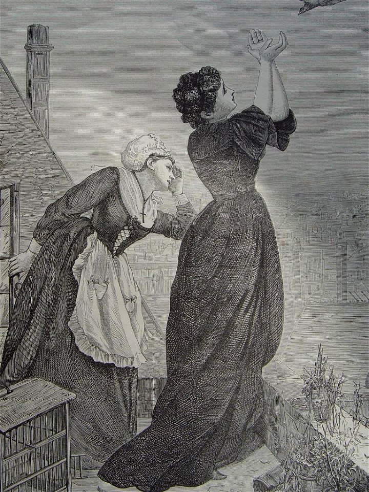 Le facteur ailé