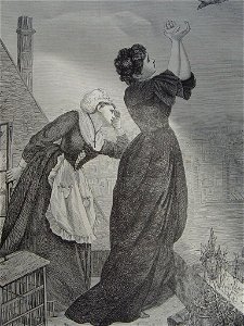 Le facteur ailé