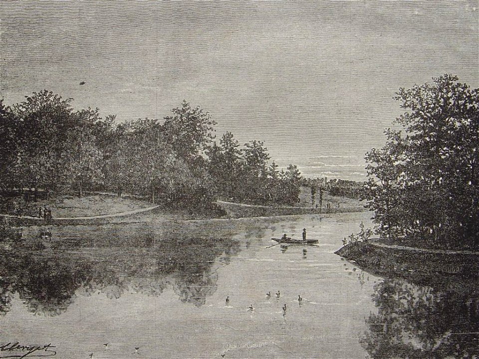 Le lac dans le bois de la Cambre