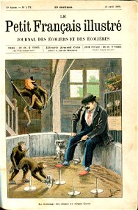 Le petit Français ill , 19 avril 1903. Le dressage des singes au cirque Corvi