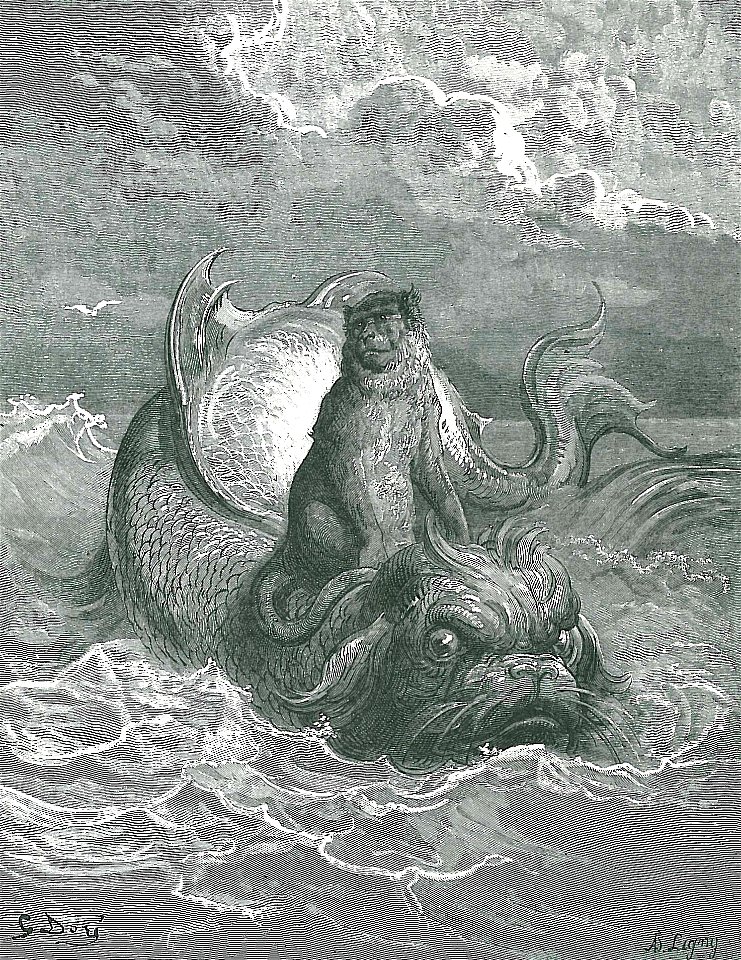 Le Singe et le Dauphin