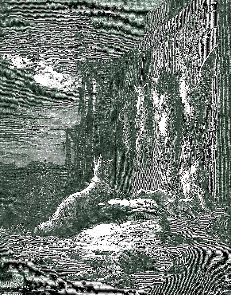 Le Renard Anglois
