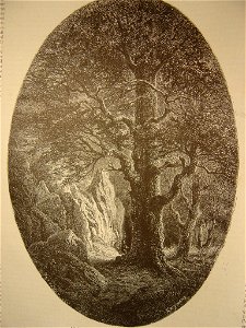 Le rocher du Héron