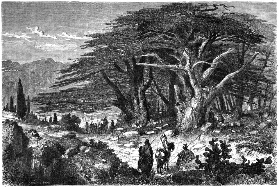 Le Tour du monde-03-p012