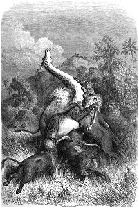 Le Tour du monde-01-p241