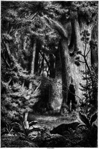 Le Tour du monde-02-p345