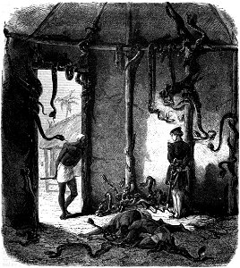 Le Tour du monde-07-p065
