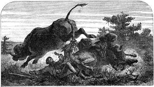 Le Tour du monde-08-p385