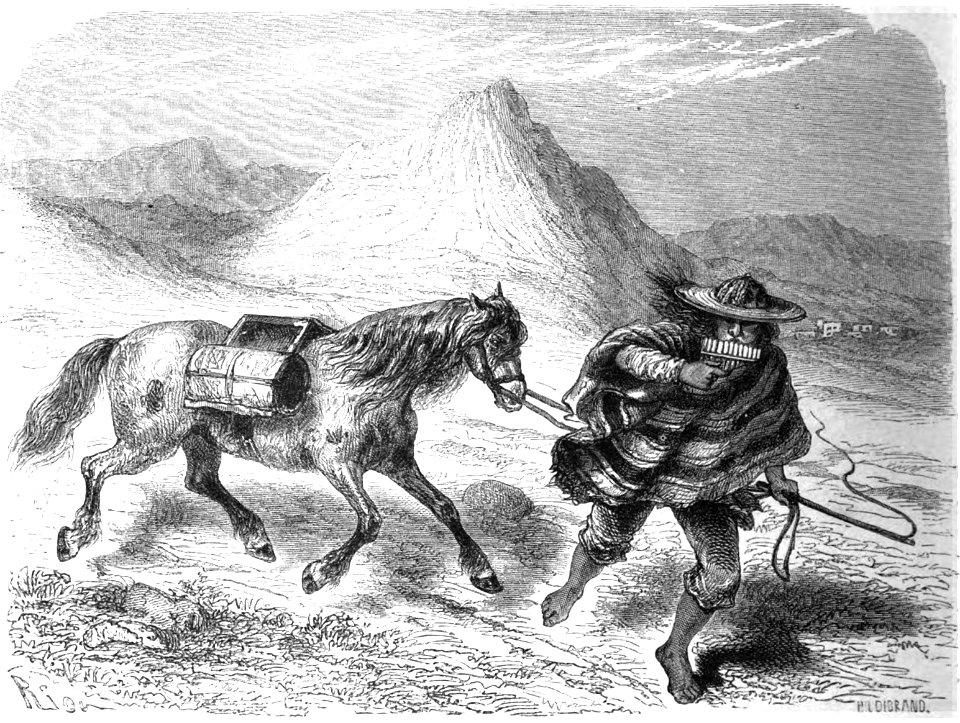 Le Tour du monde-06-p276