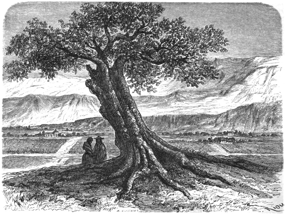 Le Tour du monde-07-p254