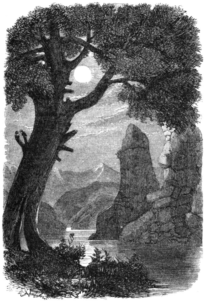 Le Tour du monde-07-p348