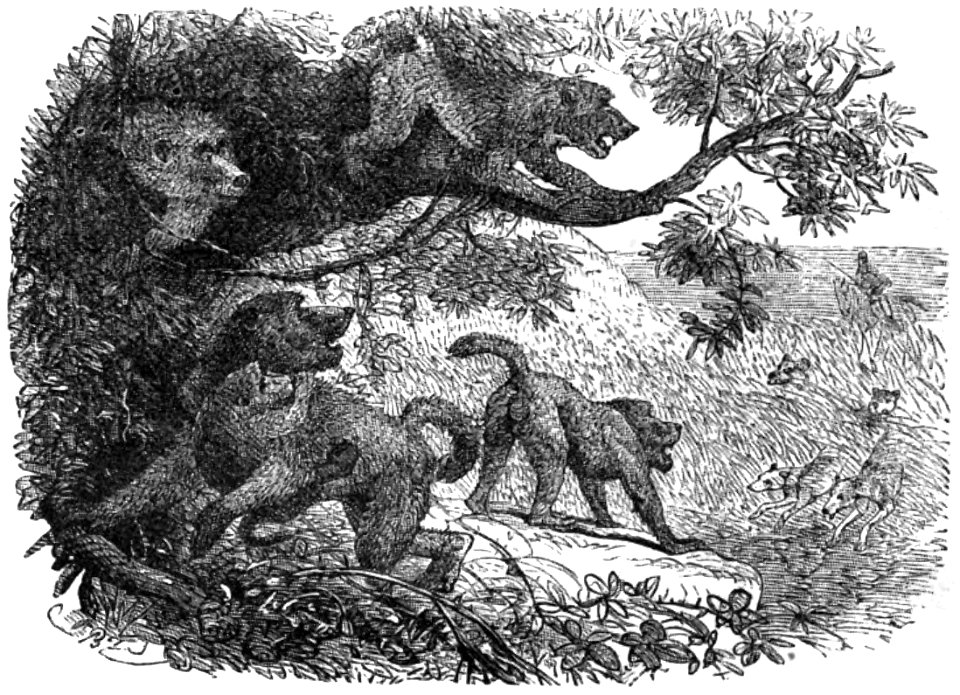 Le Tour du monde-08-p391