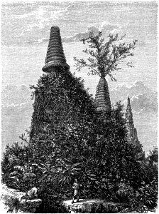 Le Tour du monde-08-p249