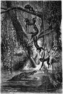 Le Tour du monde-08-p261