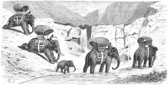 Le Tour du monde-08-p340