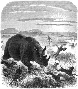 Le Tour du monde-08-p390
