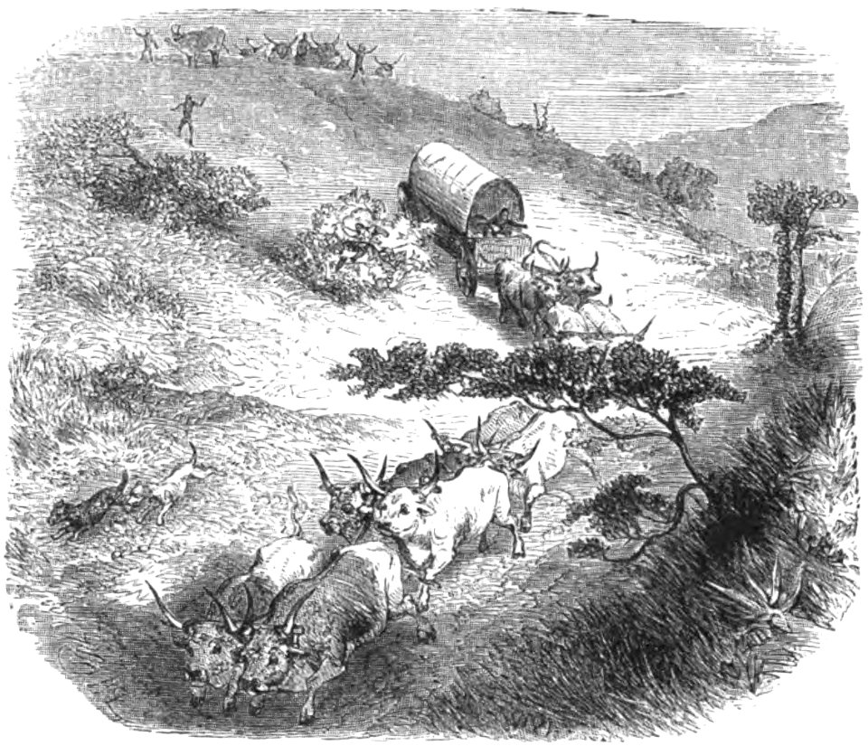 Le Tour du monde-08-p382