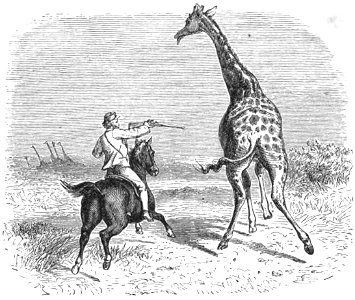 Le Tour du monde-08-p388