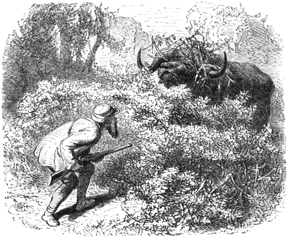 Le Tour du monde-08-p386
