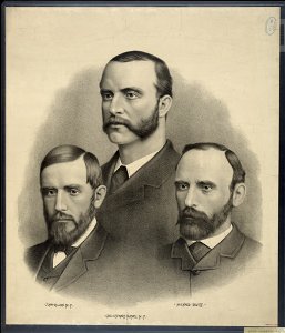 Leaders of Ireland; John Dillon, Chas. Stewart Parnell, Michael Davitt. LCCN2004670506