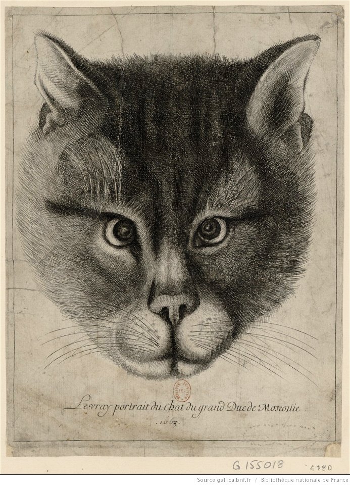 Le vray portrait du chat из БНФ
