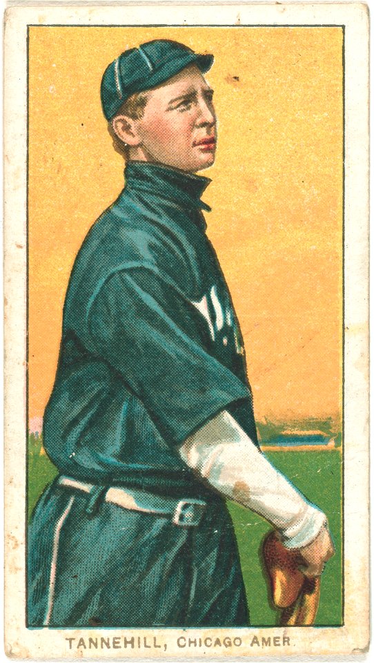 Lee Tannehill, Chicago White Sox, baseball card portrait LCCN2008676611