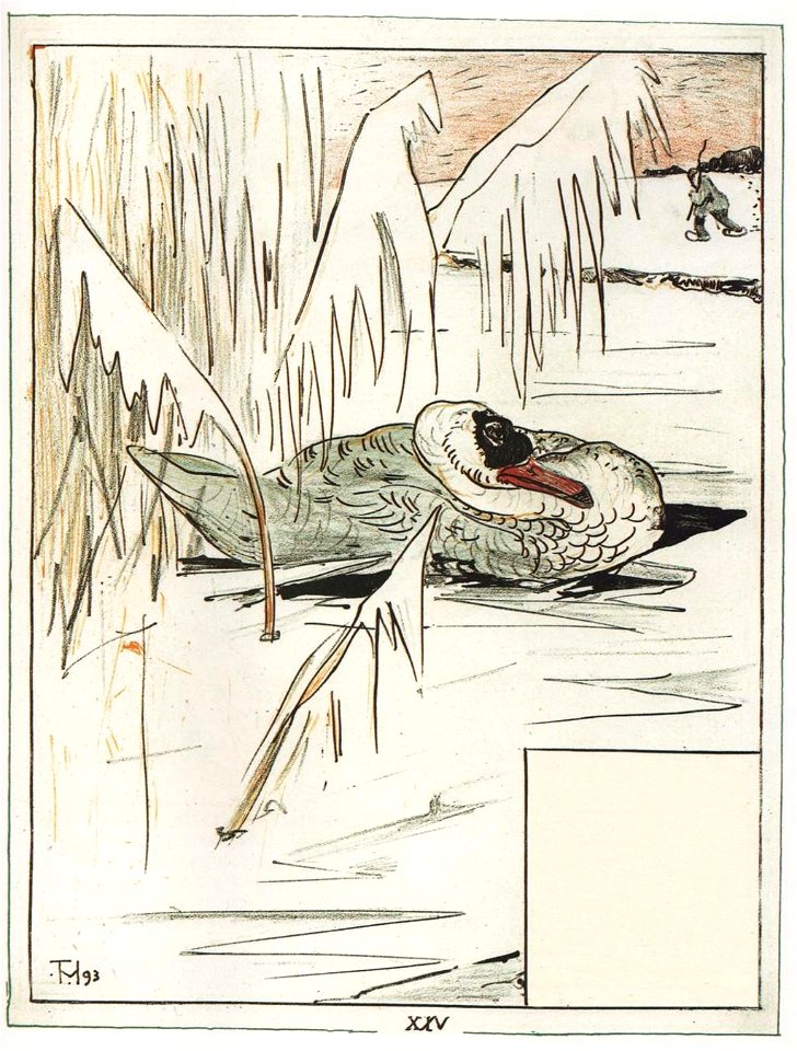 Le-vilain-petit-canard-26-525bb8d5