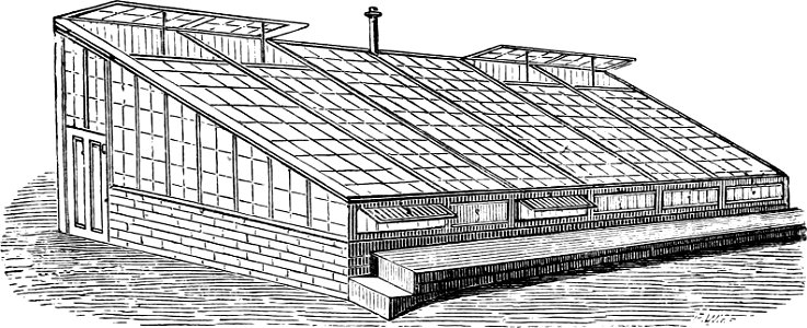 Lean - to-Amateurs Greenhouse Conservatory-0045