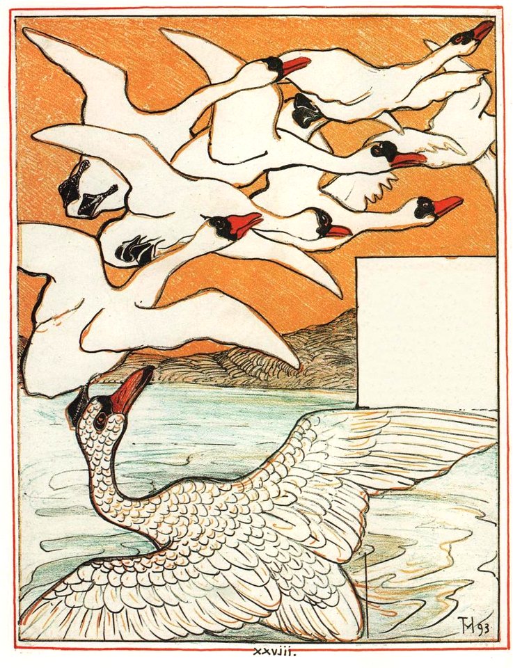 Le-vilain-petit-canard-29-525bb9b2