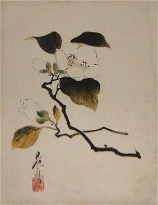 Leaf from an album of ten leaves by Shibata Zeshin, c. 1870s, Honolulu Museum of Art X