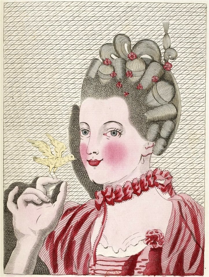 Legros de Rumigny, Coiffure 41, cropped