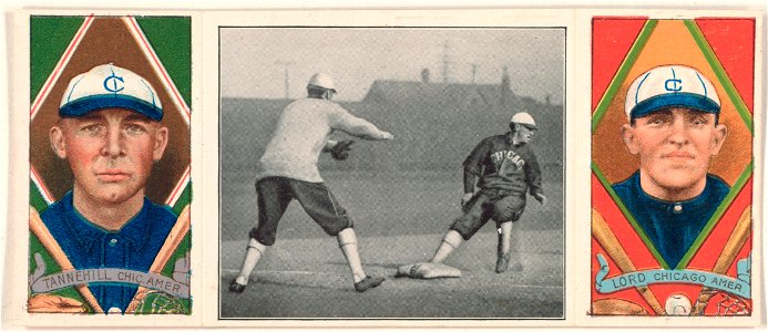 Lee Tannehill-Harry Lord, Chicago White Sox, baseball card portrait LCCN2008678525
