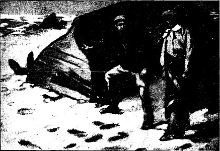 Leblanc - Le formidable événement, 1925 (page 52 crop)