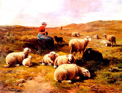 Leemputten shepherdess